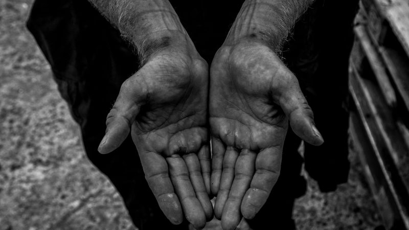 Olly Hicks Arksen Foundation