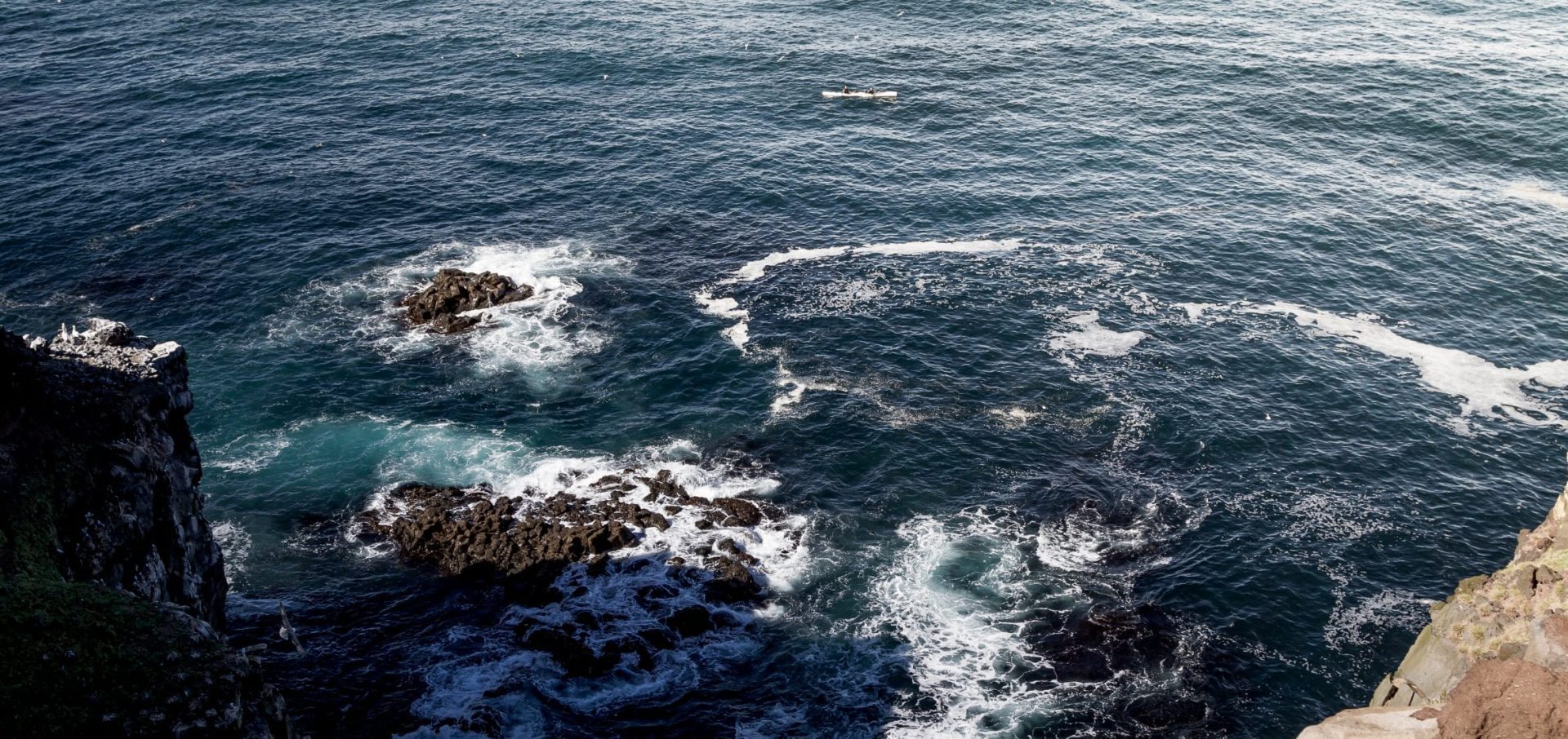 Olly Hicks Arksen Foundation ocean