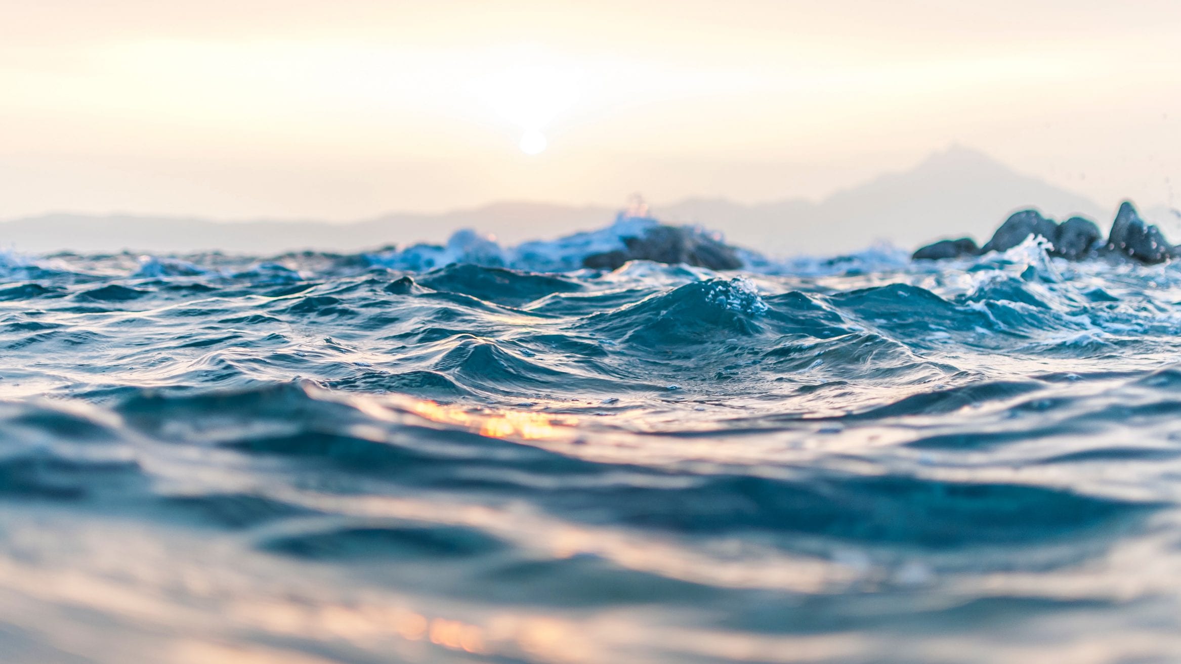ocean carbon sink rate