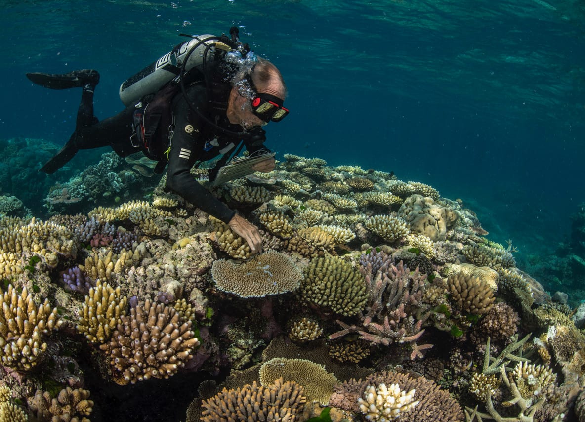 Great Barrier Reef Legacy Coral Biobank Charlie Veron