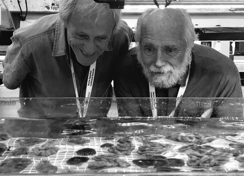 Great Barrier Reef Legacy Coral Biobank Lab