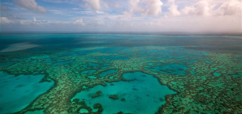 Great Barrier Reef Legacy Coral Biobank GBR