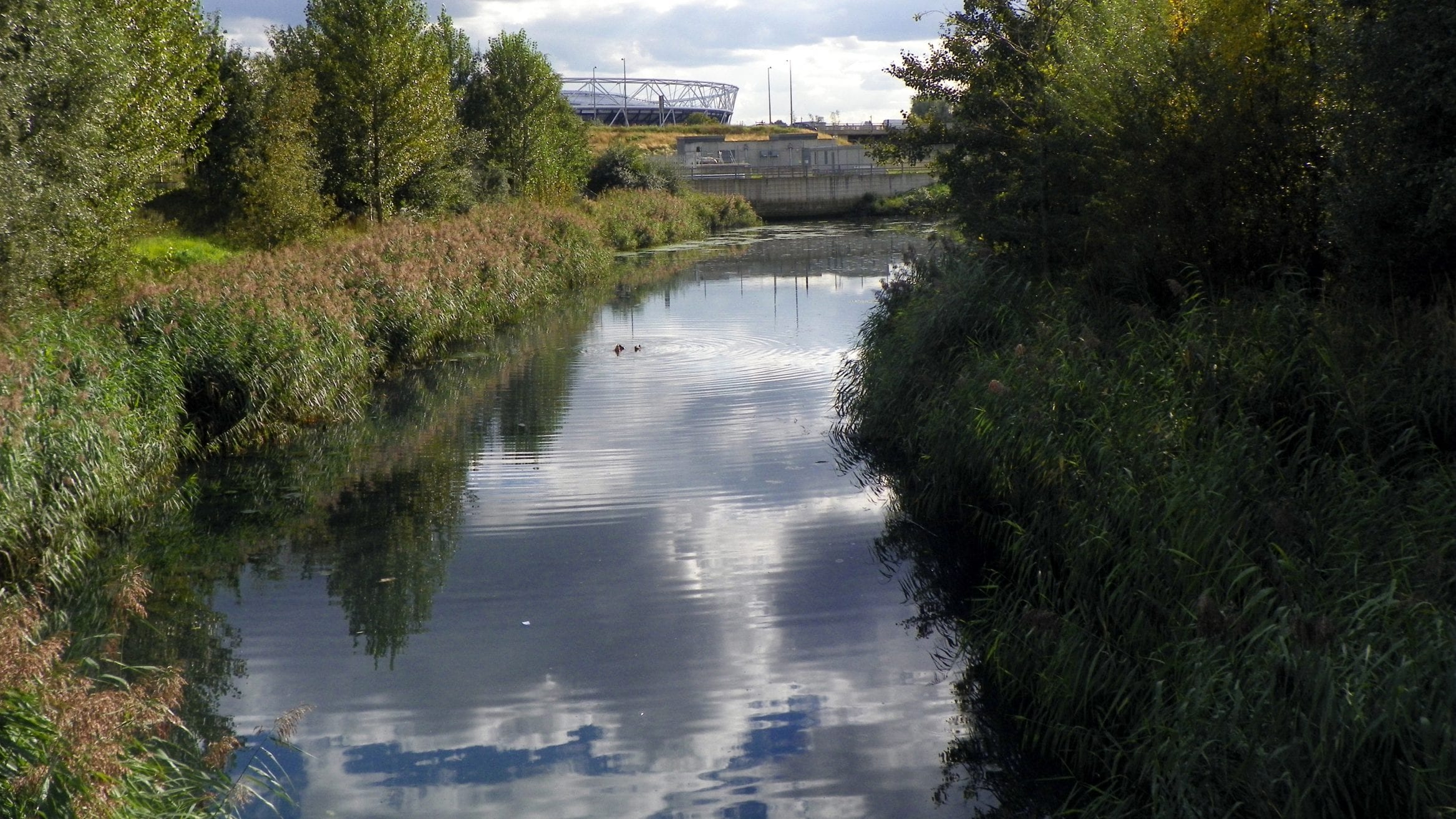 It has been revealed by The Guardian that raw sewage flowed from a Thames Water overflow pipe into an environmental wetland within the London Olympic Park 91 times over 1,026 hours during 2019.