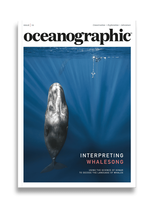 Issue Ten 
