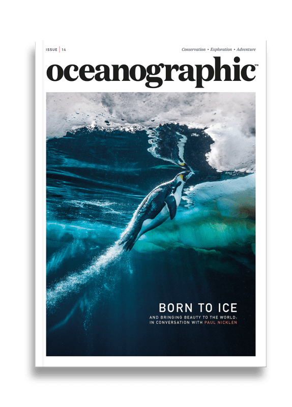Issue Fourteen 