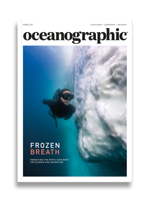 Issue Seven 