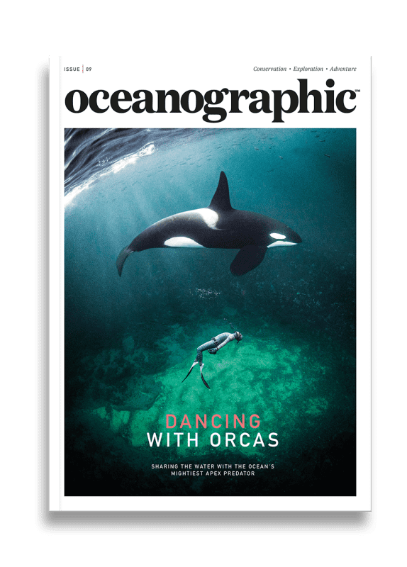Oceanographic Magazine, Issue 09, Dancing with orcas