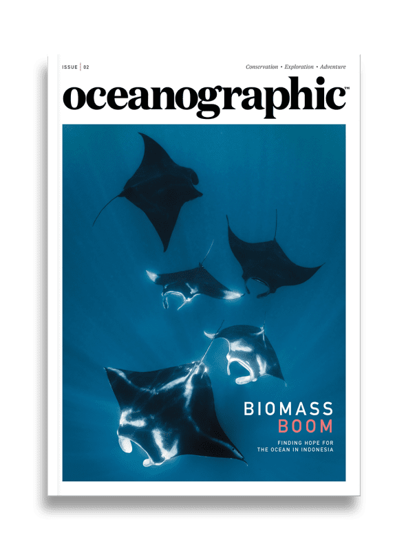Issue Two 