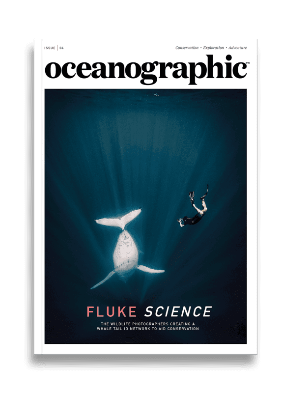 Issue Four 