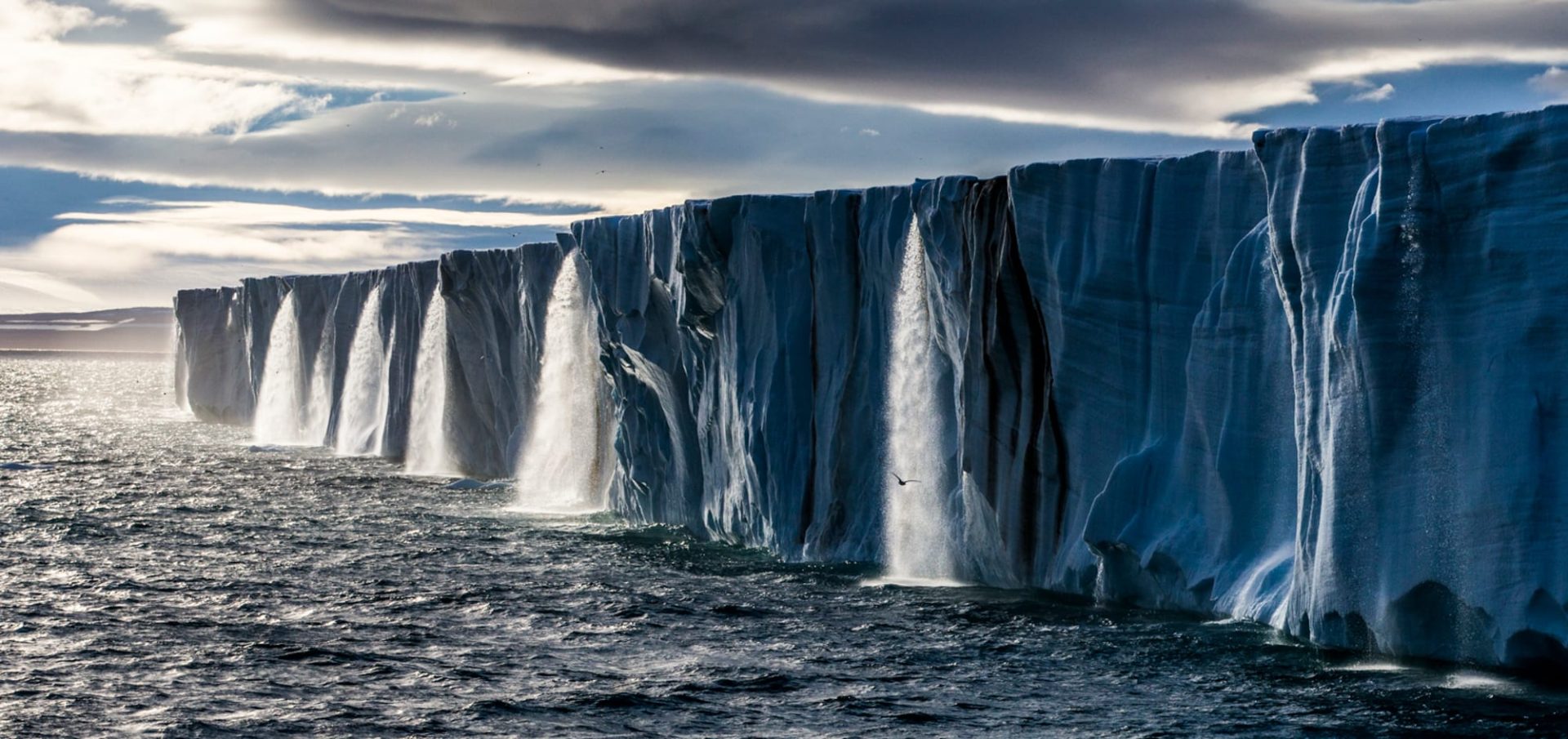Paul Nicklen Sealegacy Svaldbard
