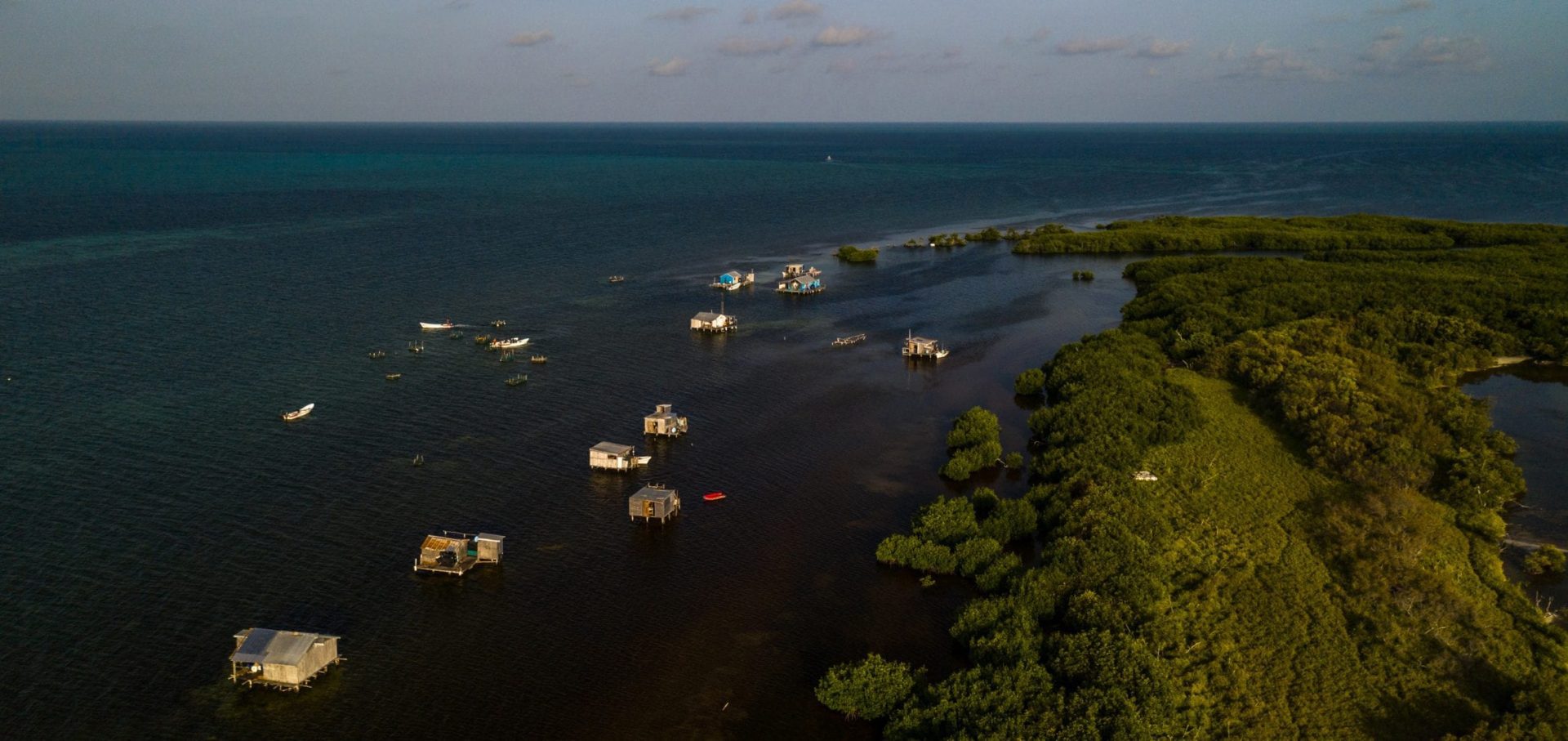 American Crocodiles Banco Cinchorro Mexico biosphere reserve