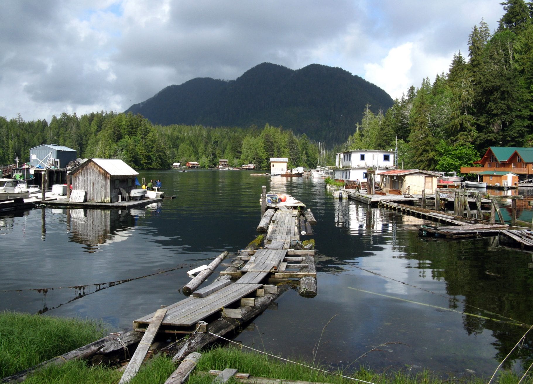 Vancouver sea otters Kyuquot