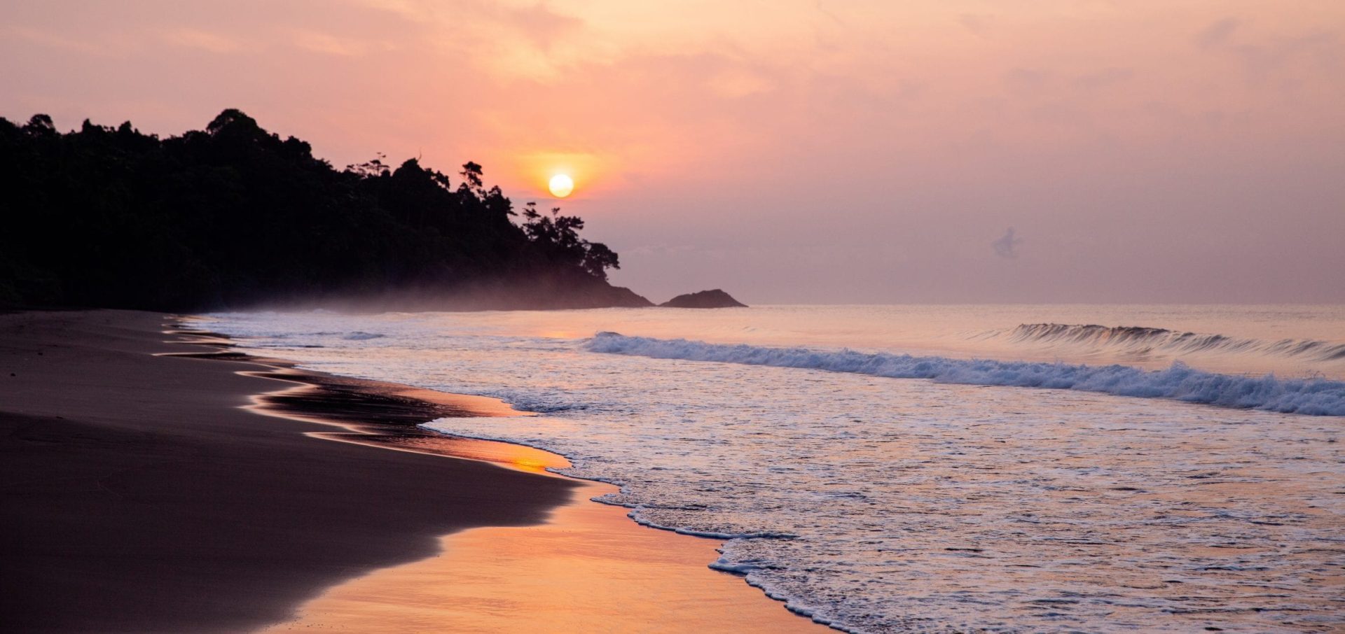 Leatherback turtle project sunset sunrise