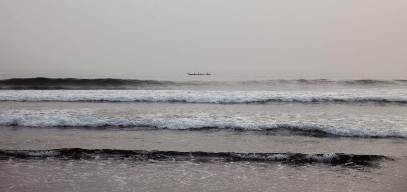 Leatherback turtle project fishers