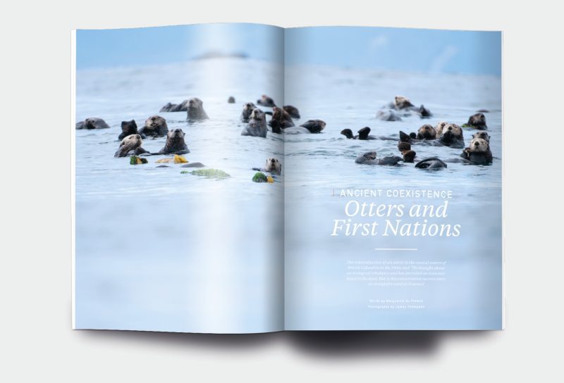 OM_website_ISSUE15_3