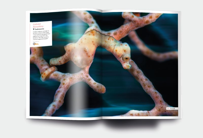 OM_website_ISSUE15_4