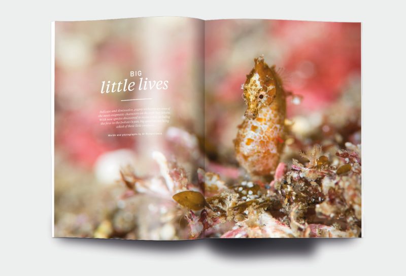 OM_website_ISSUE15_1