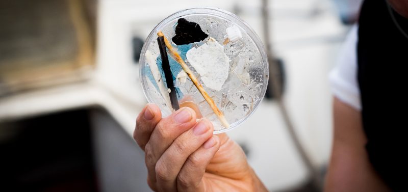 eXXpedition ocean plastic pollution data sample