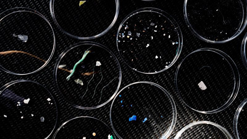 eXXpedition ocean plastic pollution samples