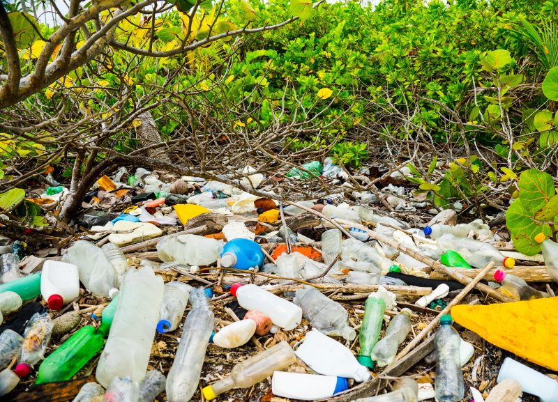 eXXpedition ocean plastic pollution waste