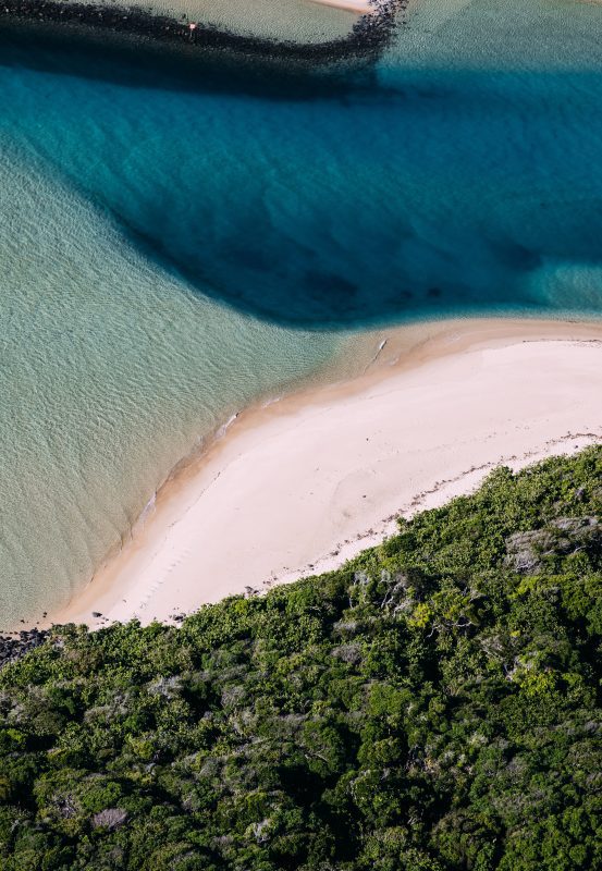 shark net shark culling Australia drone