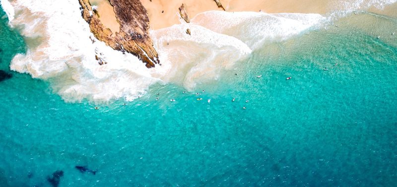 shark net shark culling Australia whale drone