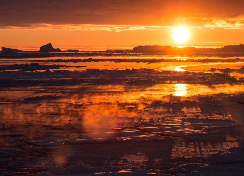 crabeater seals antarctica research vessel