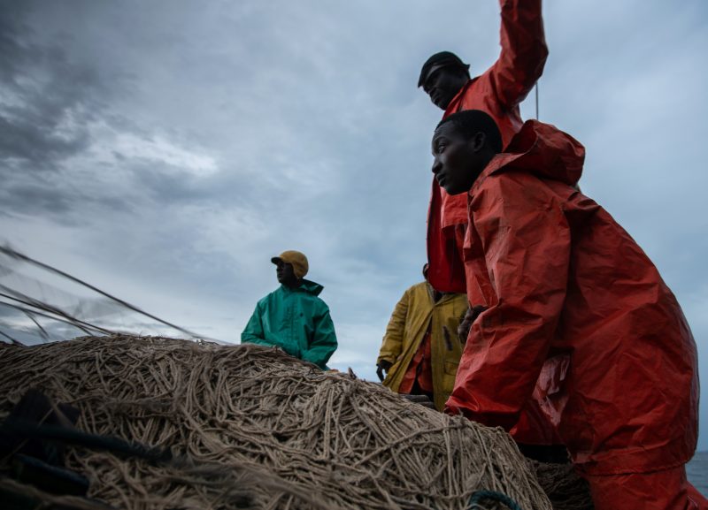 Shark fishing Republic of Congo TRAFFIC fishing