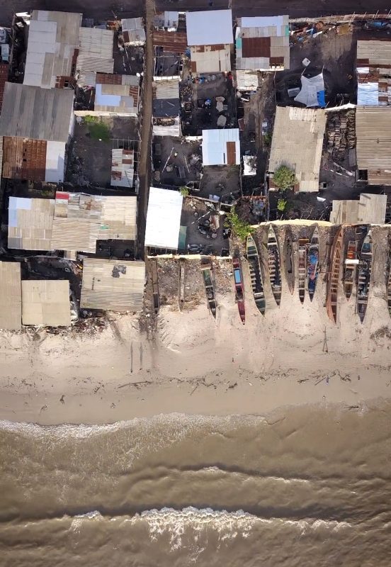 Shark fishing Republic of Congo TRAFFIC drone