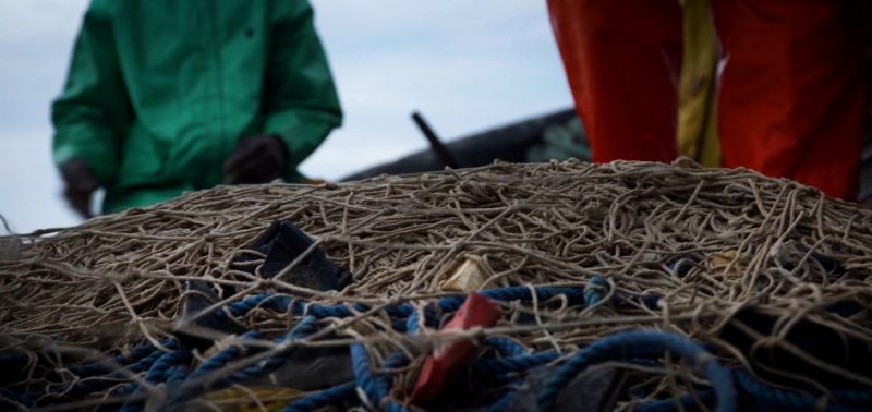 Shark fishing Republic of Congo TRAFFIC net