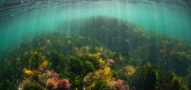 Lou Luddington sailing underwater photographer