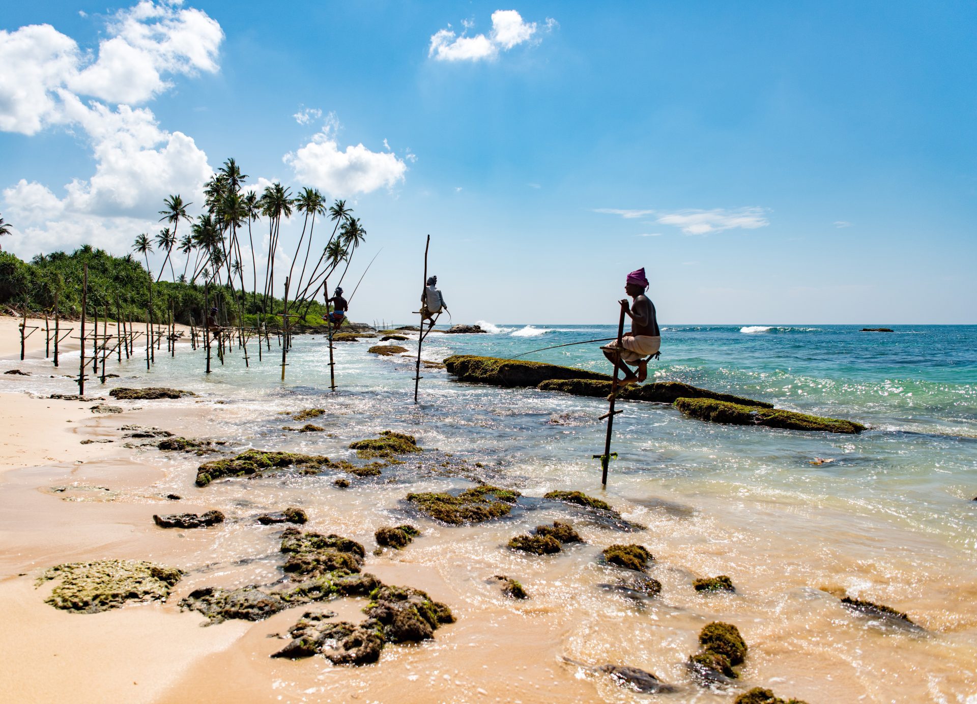 Dr Asha de Vos Sri Lanka blue whales fishermen