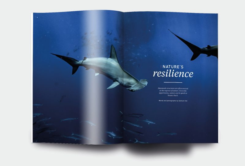 OM_website_ISSUE16_6