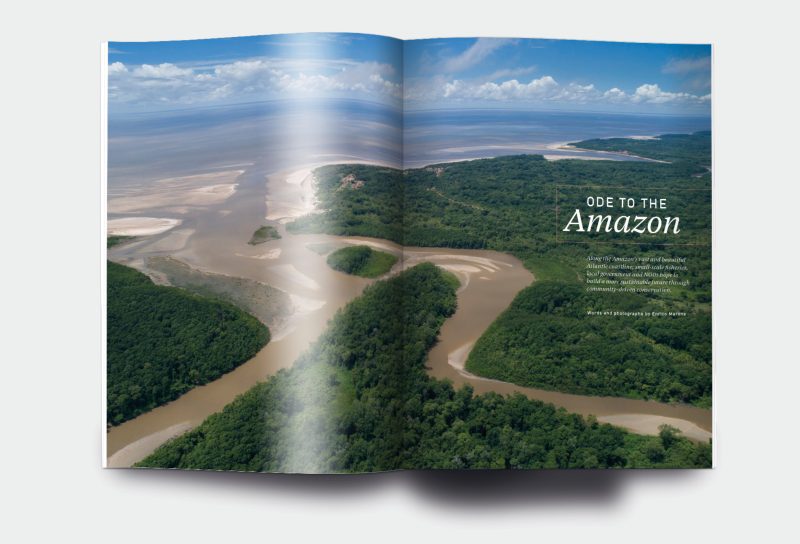 OM_website_ISSUE16_2