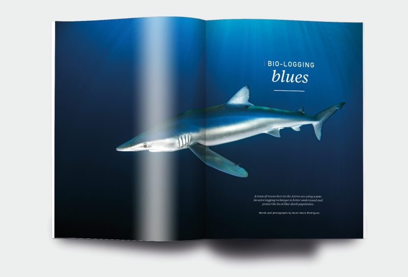 OM_website_ISSUE16_1