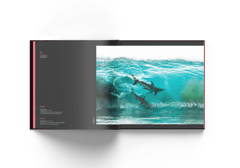 Surfing sharks, Australia, Sean Scott, Ocean Photography Awards