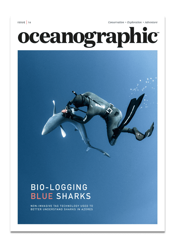 Issue 16, Oceanographic Magazine, blue sharks, Azores
