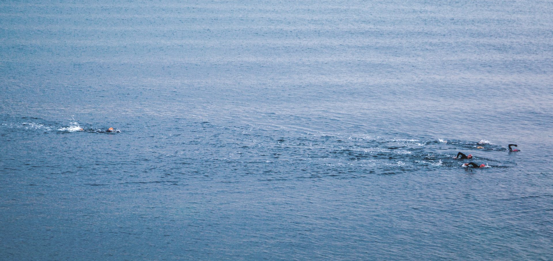 wild swimming cornwall ocean