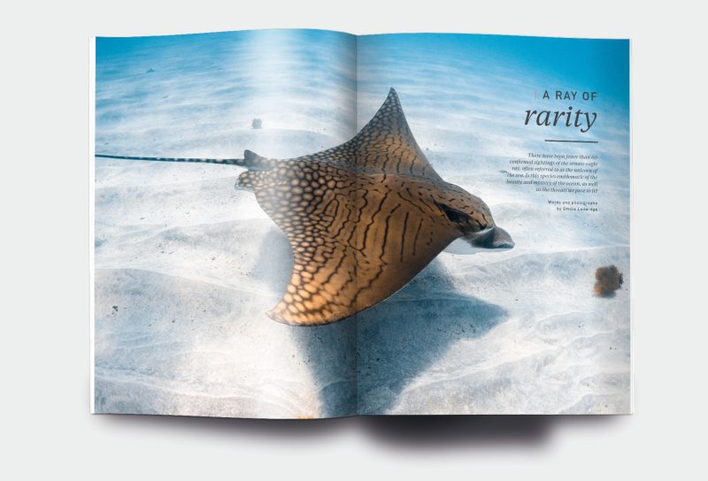 OM_website_ISSUE17_5