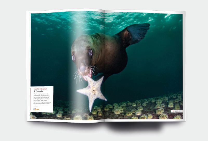 OM_website_ISSUE17_1