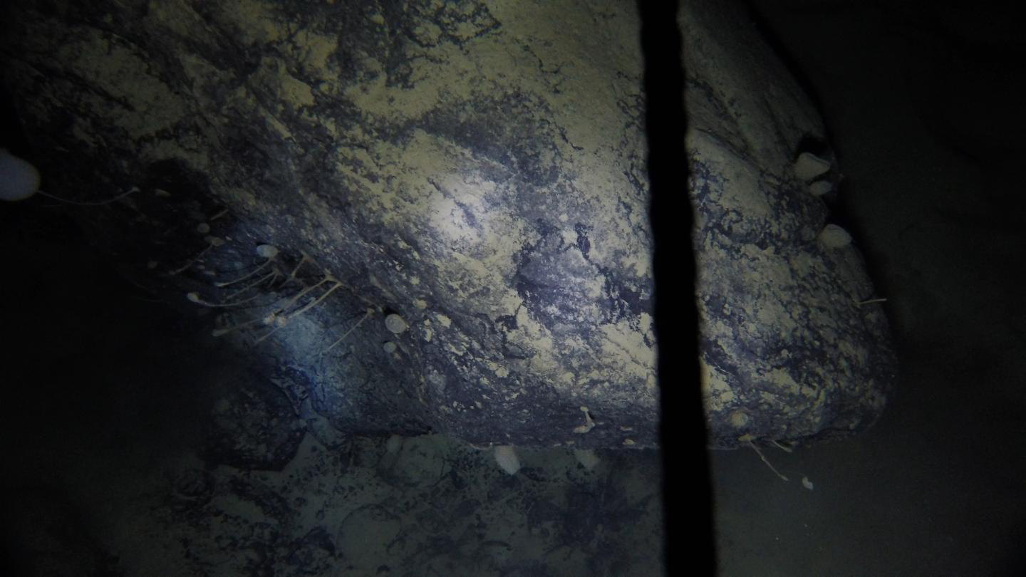 Beneath Antarctic Ice Shelves