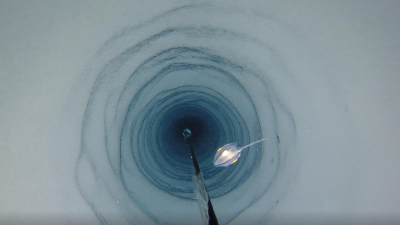 Beneath Antarctic Ice Shelves