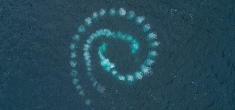 Richard Sidey Galexiid bubble hunting