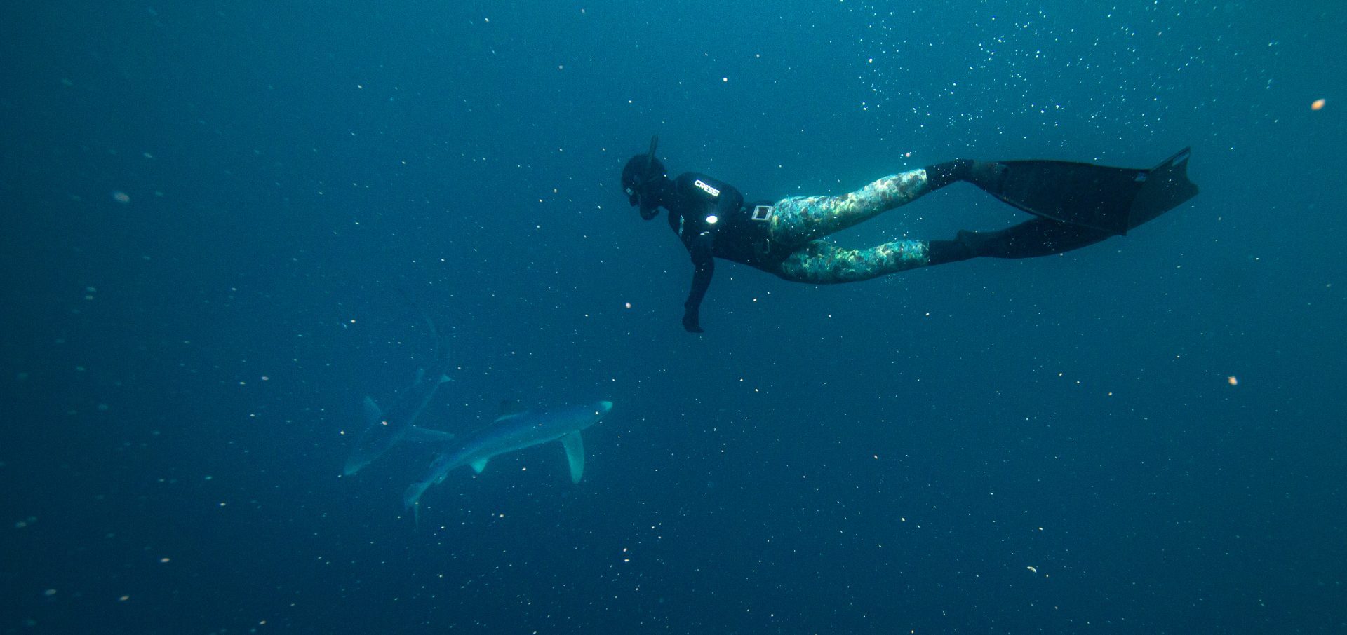 Celtic Deep Pembrokeshire diving