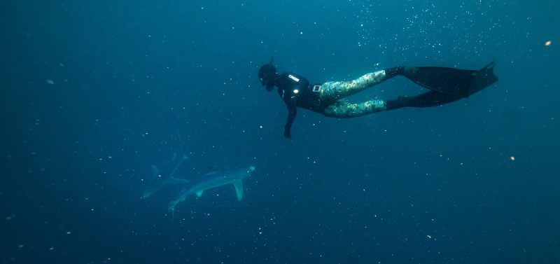 Celtic Deep Pembrokeshire diving