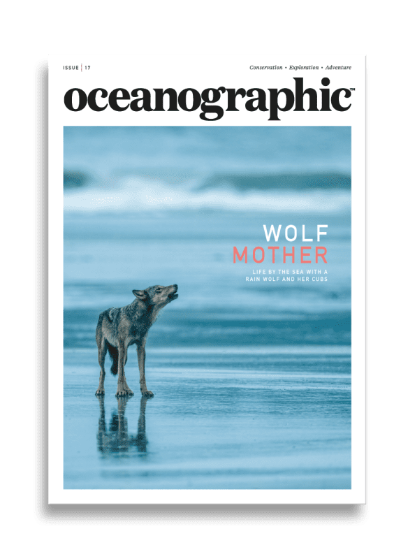 Oceanographic, Issue 17, Wolf mother