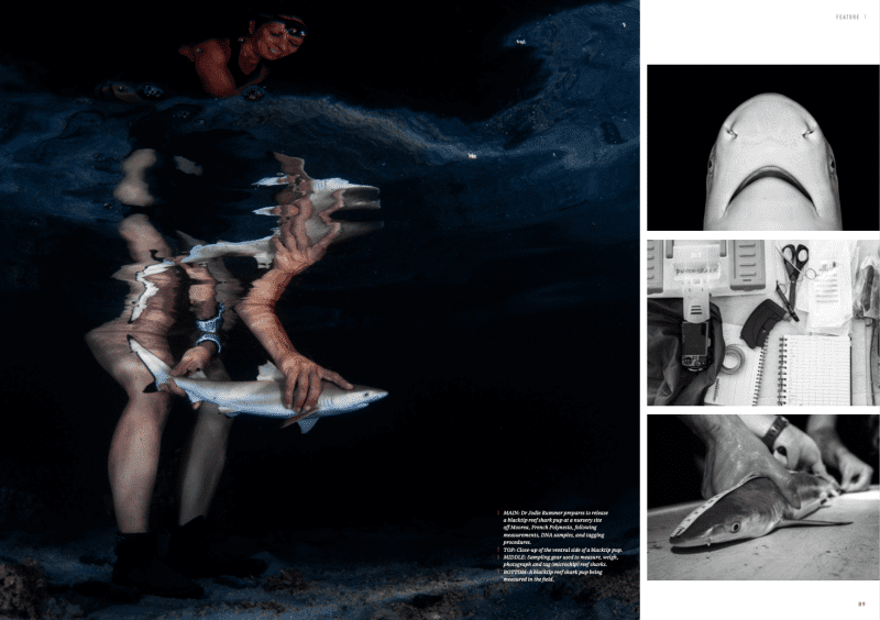 Sharks and climate change, Oceanographic Magazine, Issue 17
