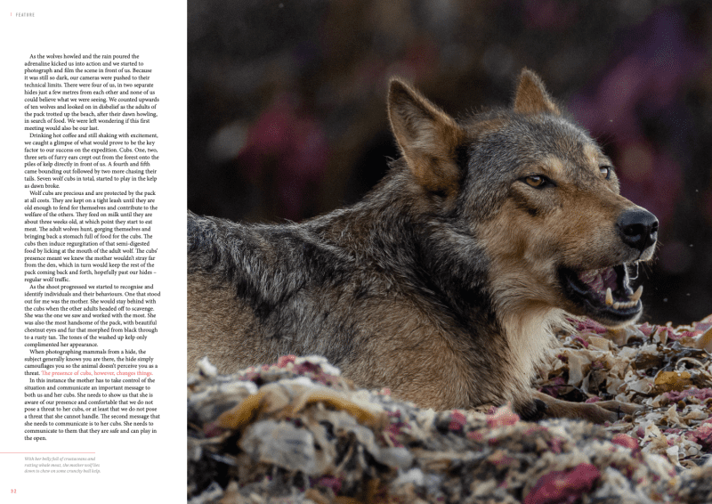 Oceanographic Magazine, Issue 17, Wolf mother