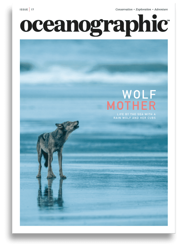 Oceanographic, Issue 17, Wolf mother