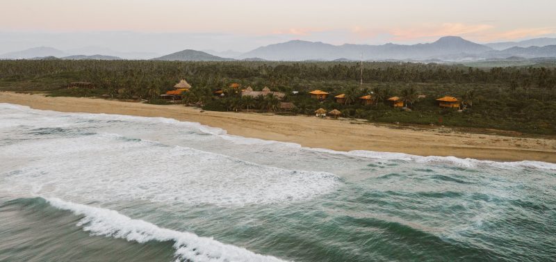turtle nesting beach